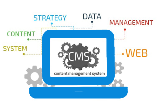 ontent Management System